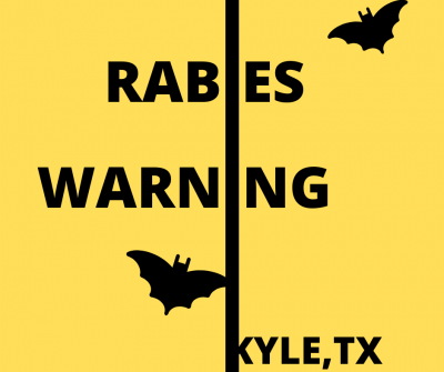 City of Kyle reminds residents to be "bat aware"